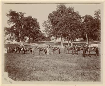 (HORSES) Album with 49 photographs depicting a sprawling American horse farm.